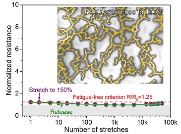 Stretchable Conductor Stretchable Conductor